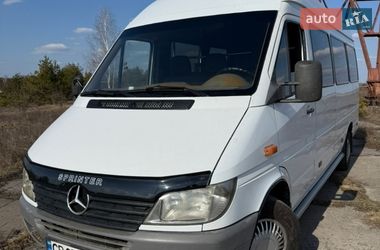Микроавтобус Mercedes-Benz Sprinter 2002 в Коропе