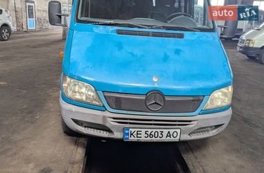 Микроавтобус Mercedes-Benz Sprinter 2001 в Никополе
