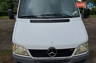 Вантажопасажирський фургон Mercedes-Benz Sprinter 2005 в Лубнах