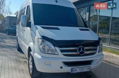 Минивэн Mercedes-Benz Sprinter 2007 в Березному