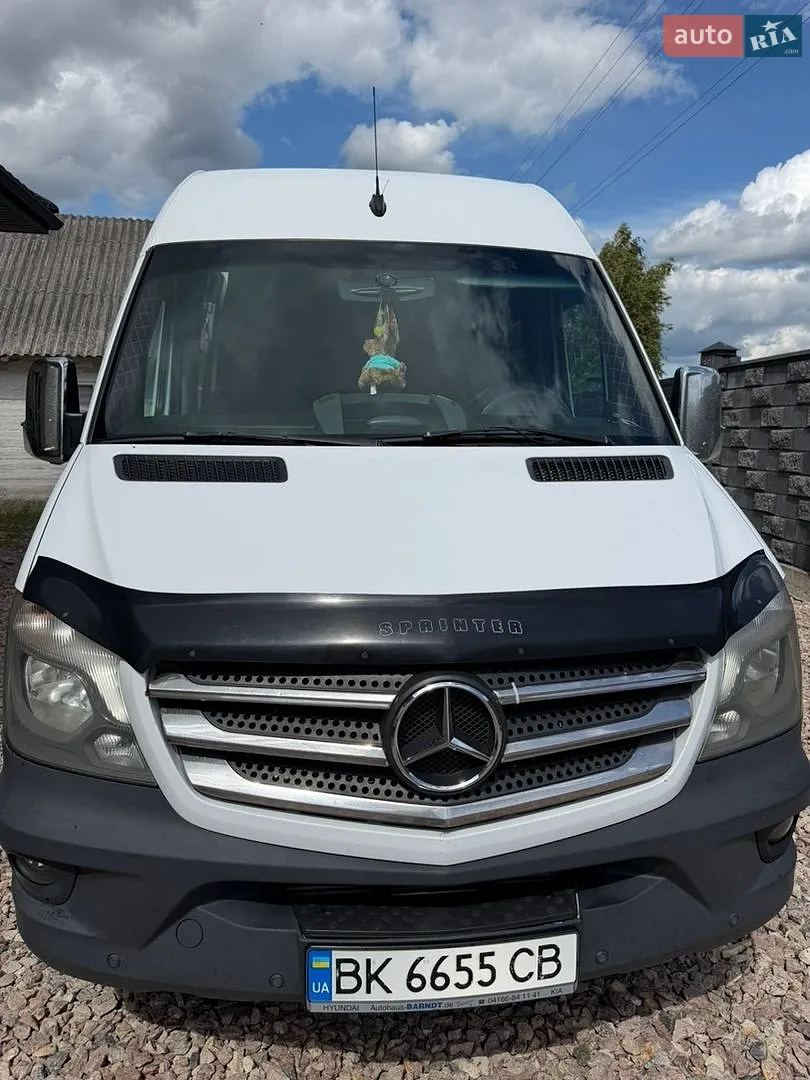 2016 Mercedes-Benz Sprinter - фото 1