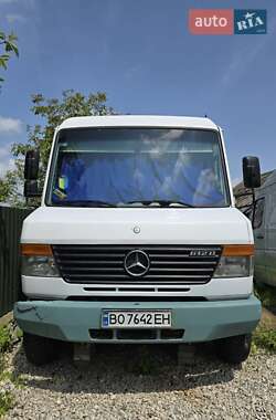 Грузовой фургон Mercedes-Benz Vario 1997 в Подволочиске