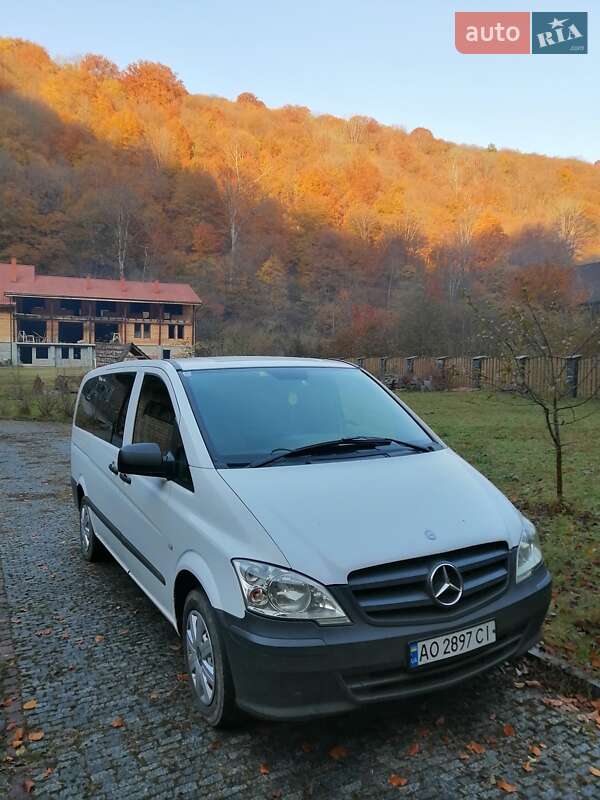 Минивэн Mercedes-Benz Vito 2010 в Сваляве