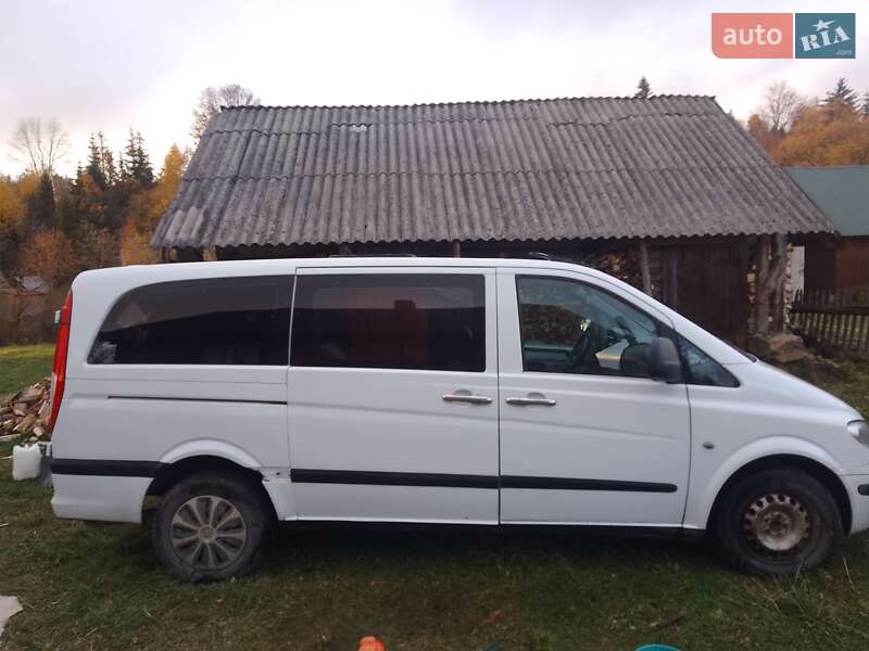 Минивэн Mercedes-Benz Vito 2005 в Сколе