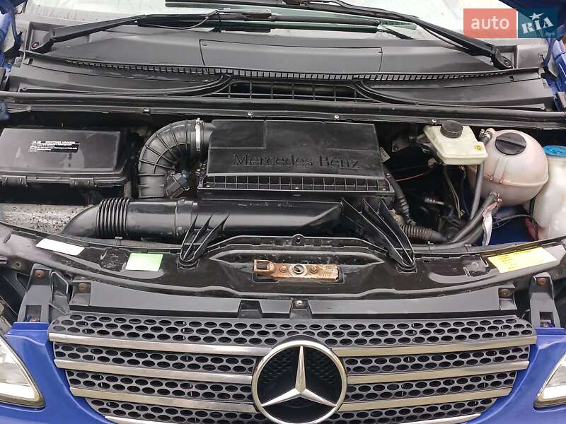Минивэн Mercedes-Benz Vito 2006 в Бучаче