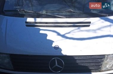 Минивэн Mercedes-Benz Vito 2002 в Краматорске