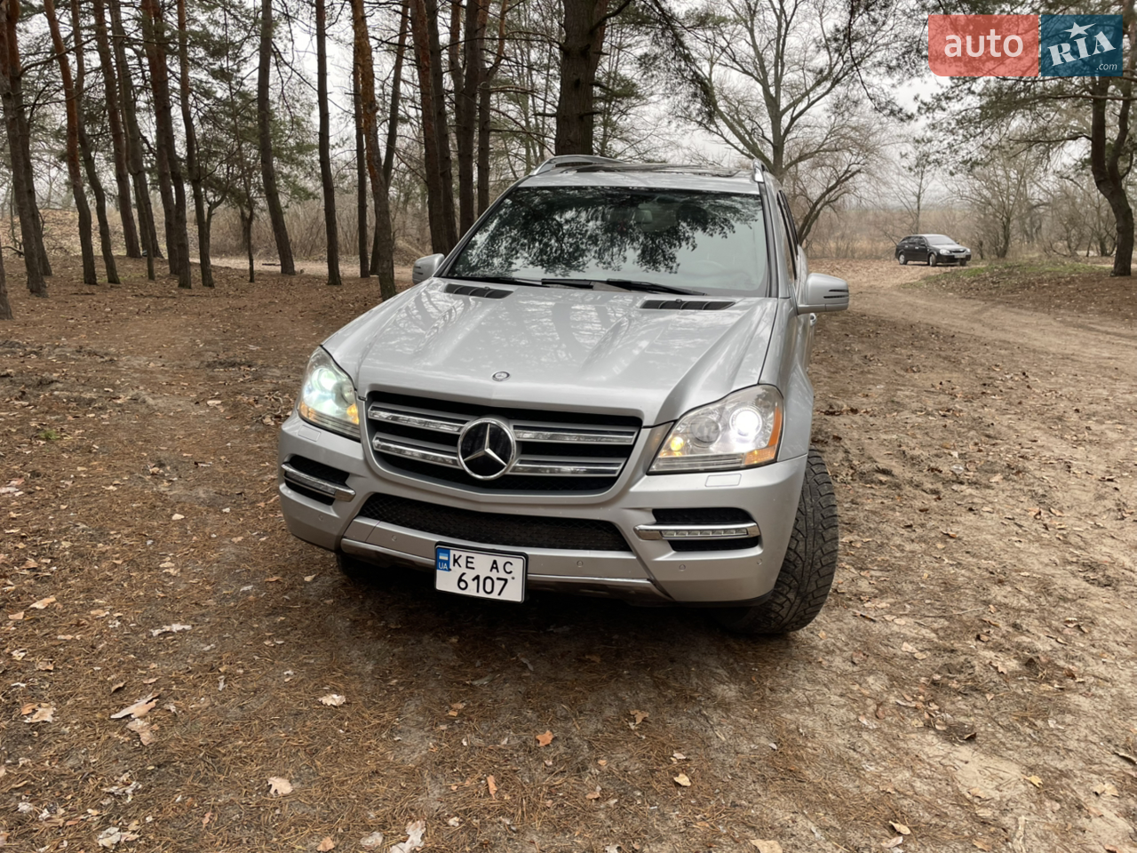 2010 Mercedes-Benz GL-klasse - мініатюра 12