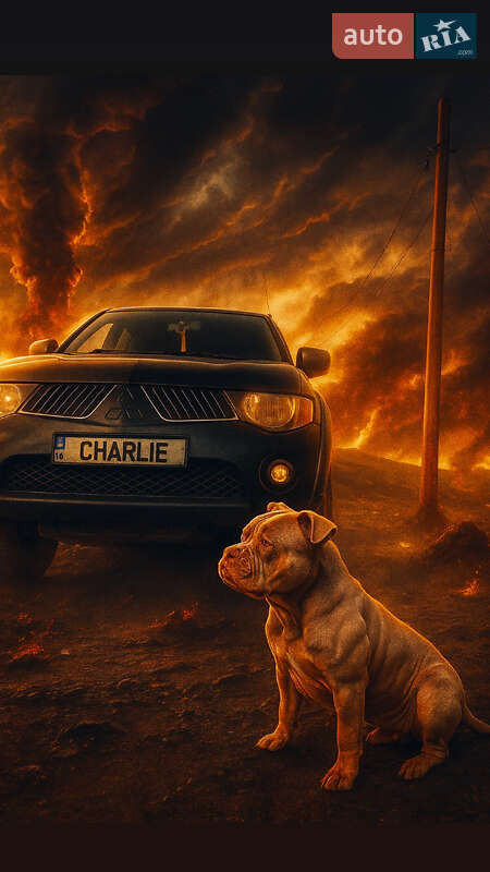 Пикап Mitsubishi L 200 2008 в Каменец-Подольском