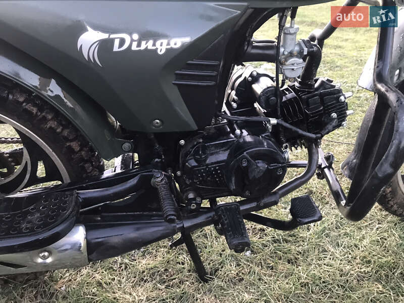 Мотоцикл Многоцелевой (All-round) Musstang Dingo 2020 в Иршаве