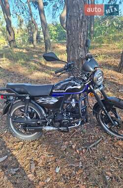 Мотоцикл Кросс Musstang MT 125-2 2025 в 