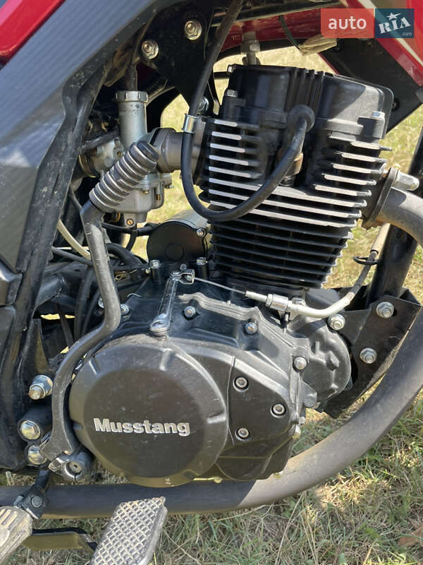 Мотоцикл Классик Musstang MT 200-8 2023 в Дубно фото 18 Мотоцикл Классик Musstang MT 200-8 2023 в Дубно