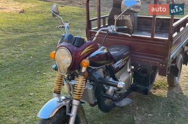 Мотороллер Musstang MT 200ZH-4V 2013 в Городенке