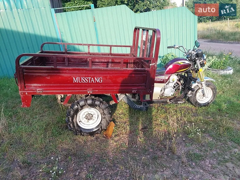 Musstang MT 200ZH-4V 2013