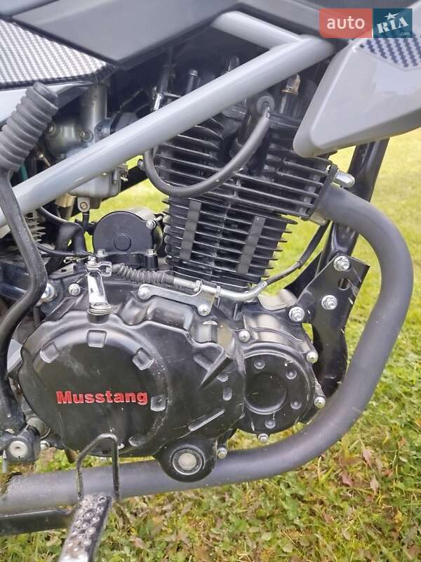 Мотоцикл Позашляховий (Enduro) Musstang MT 250 Region 2025 в Стрию