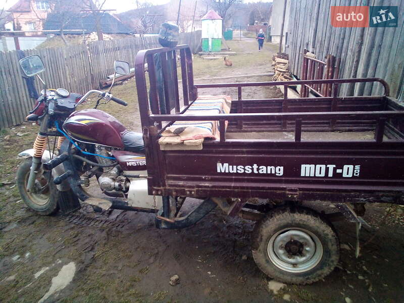 Грузовые трициклы Mustang BL 2019 в Долине