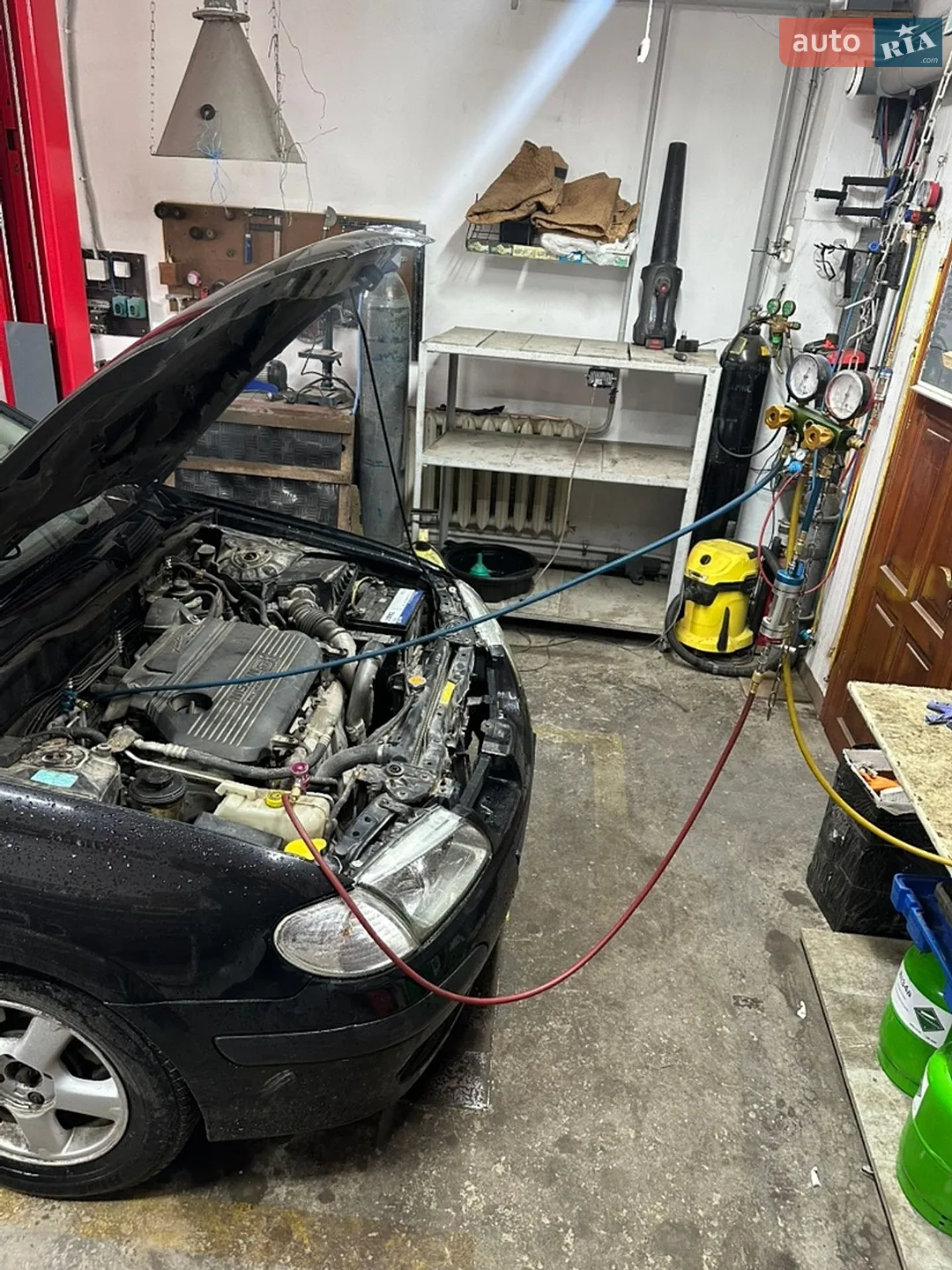 Nissan Almera 2002 VIN SJNBDAN16U0259693 фото оголошення 3 з 17