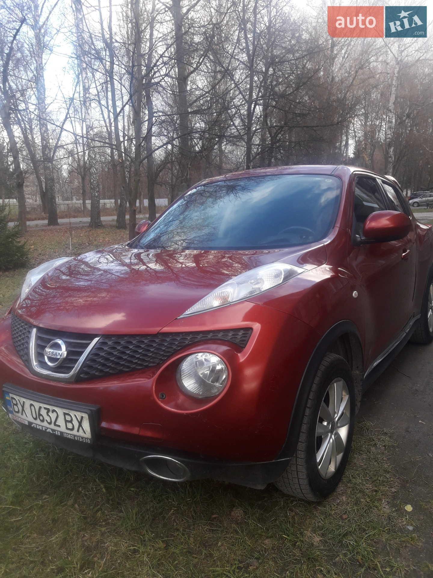 2013 Nissan Juke - фото 1
