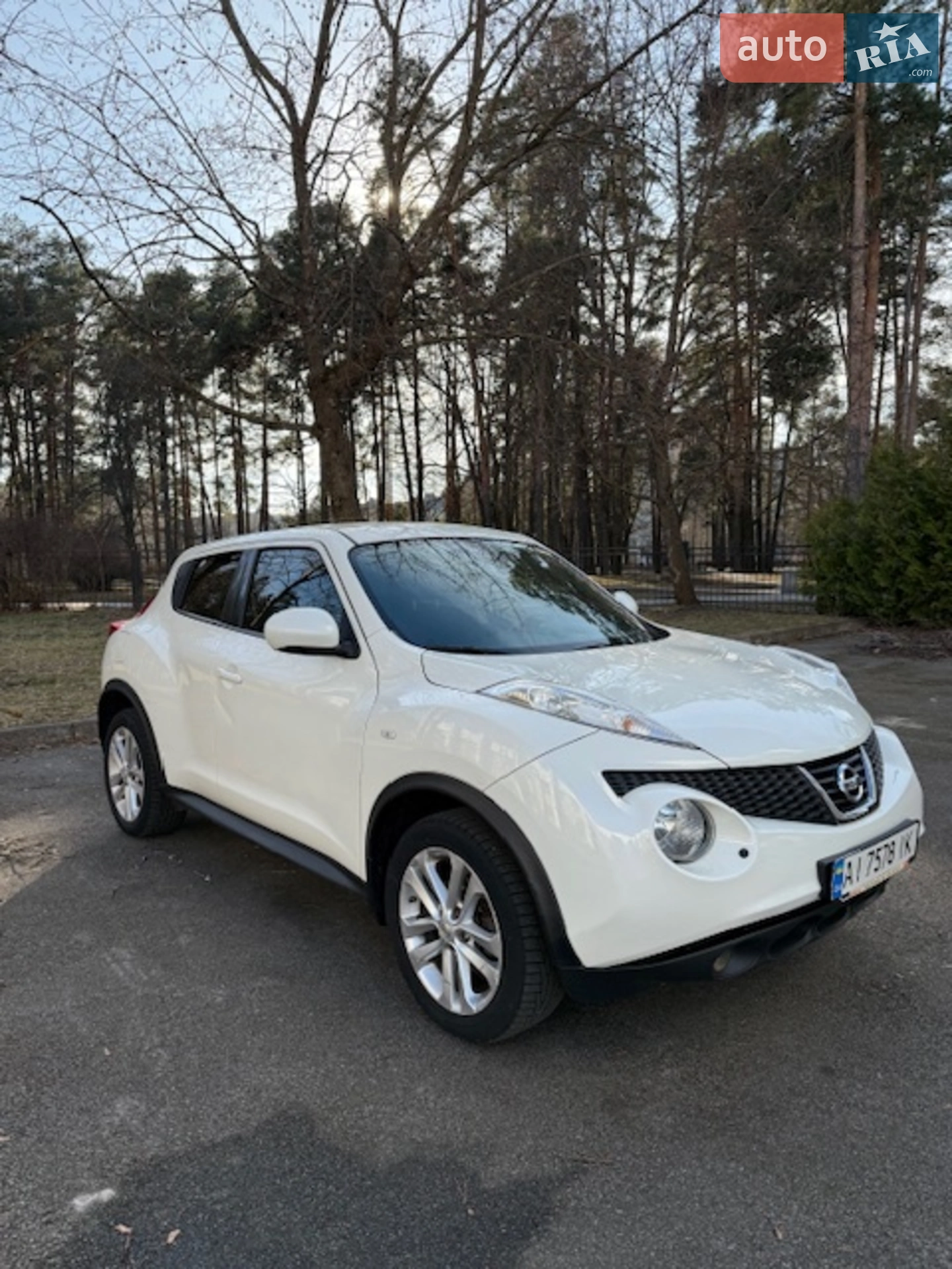 2013 Nissan Juke - фото 1