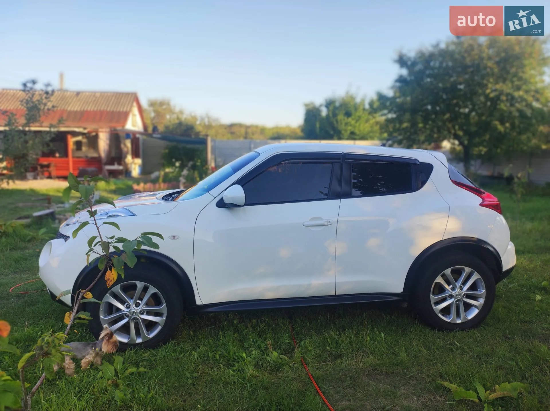 2011 Nissan Juke - мініатюра 4