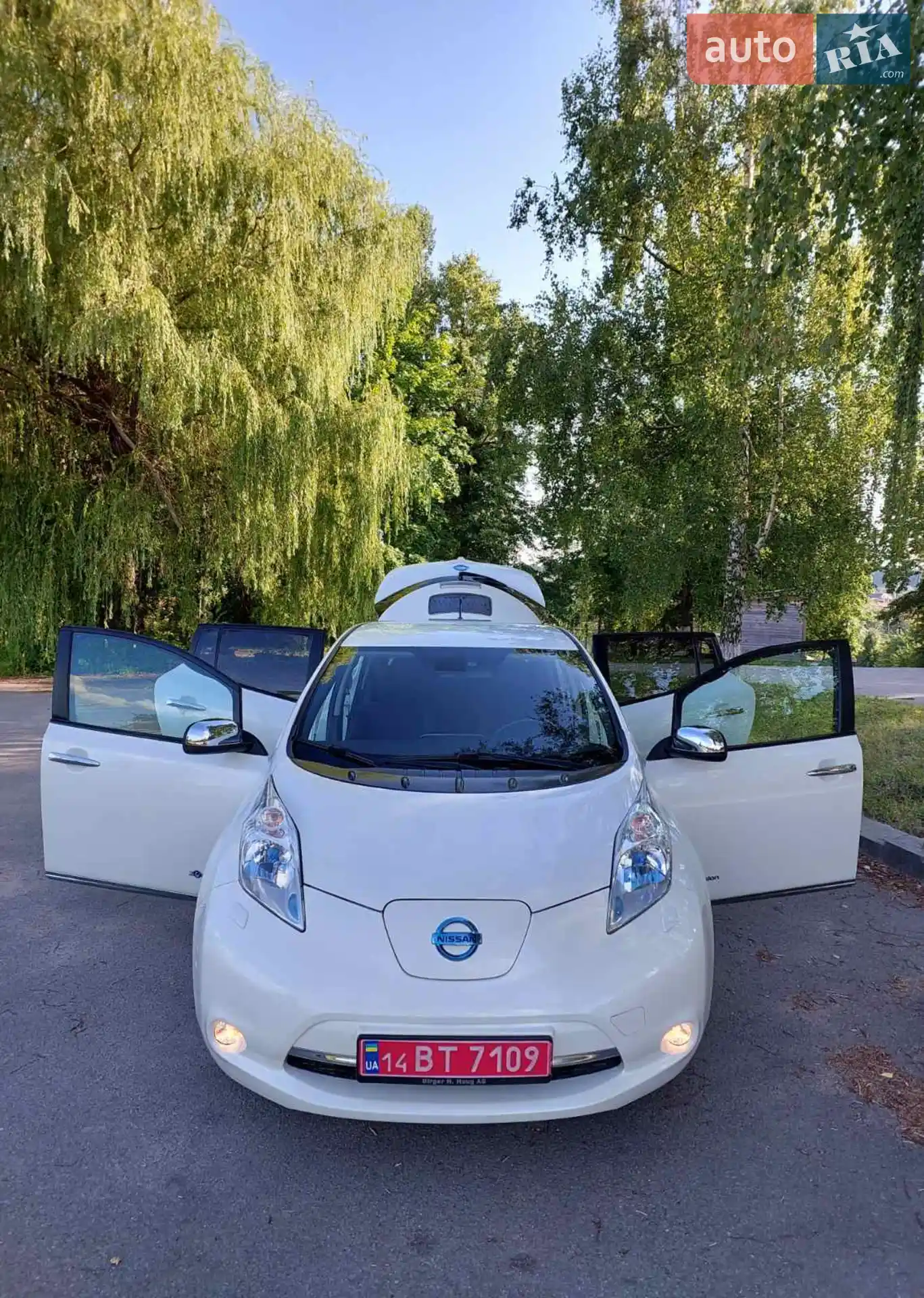 2013 Nissan Leaf - мініатюра 2