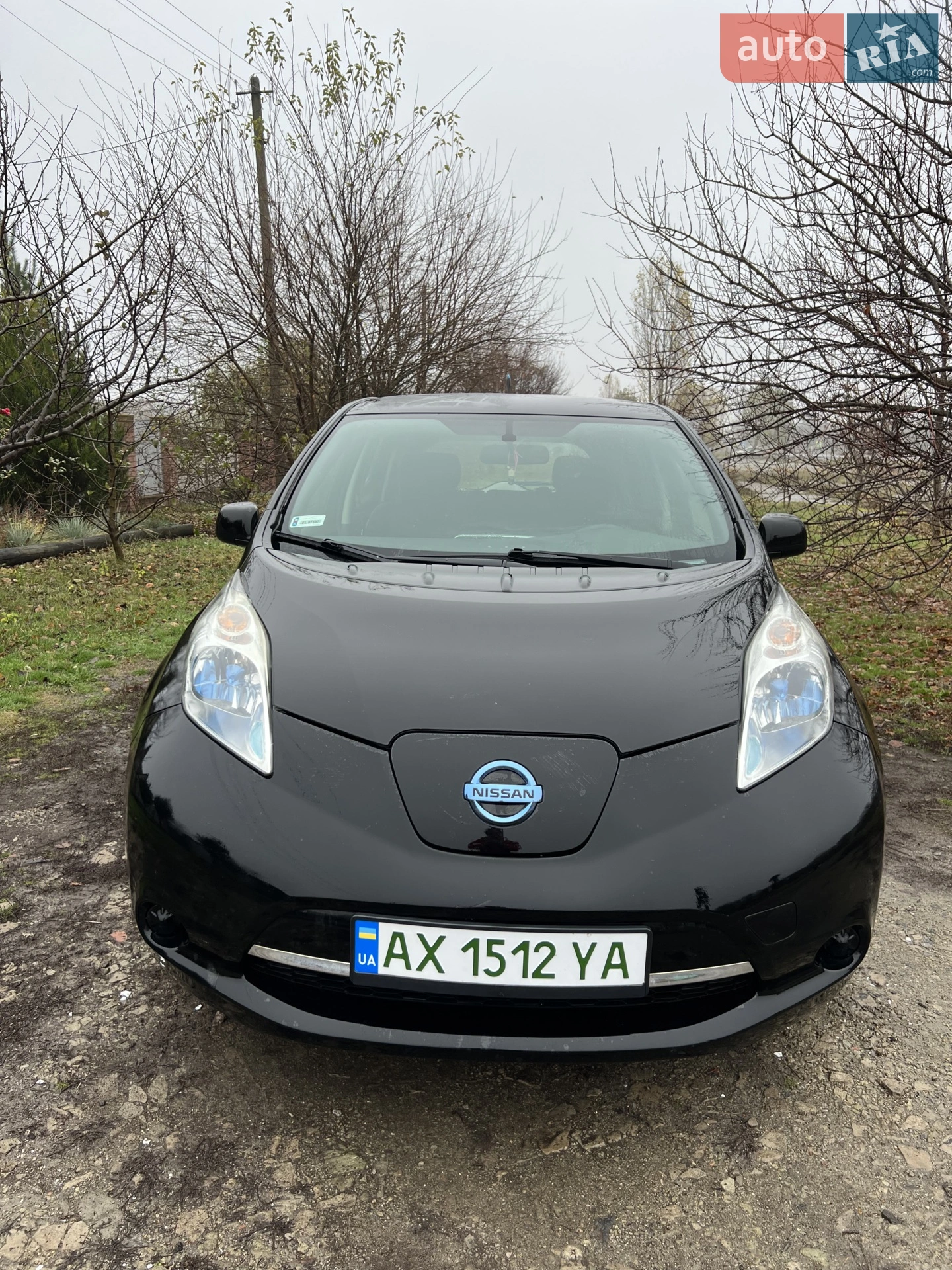 2013 Nissan Leaf - мініатюра 6