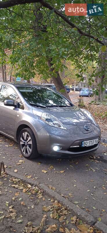 Nissan Leaf 2014