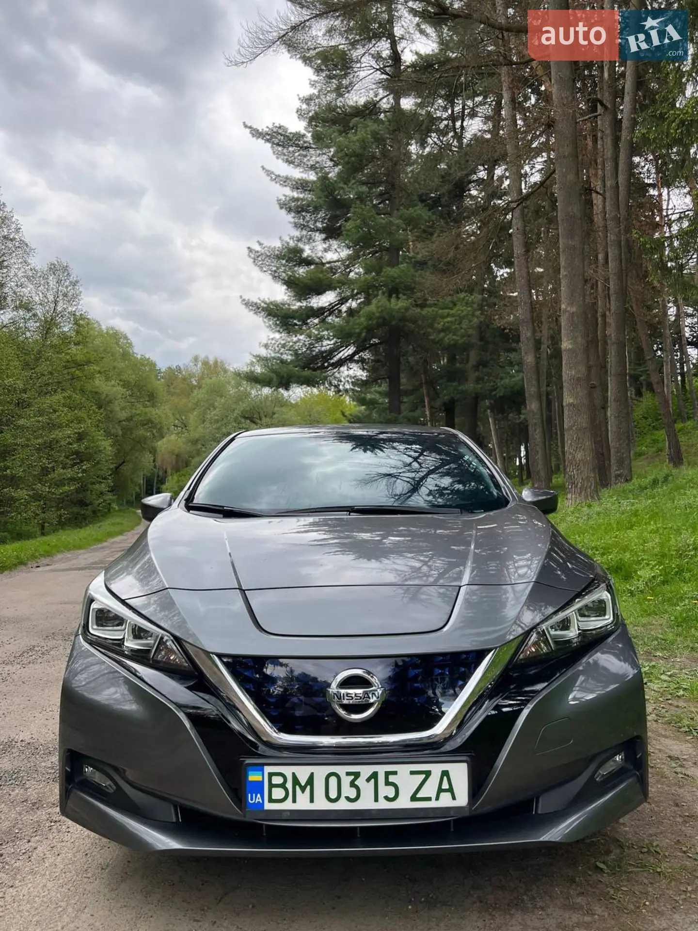 2018 Nissan Leaf - мініатюра 2