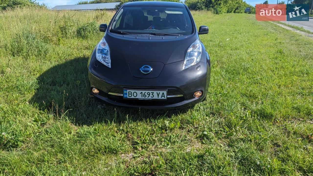 2014 Nissan Leaf - мініатюра 32