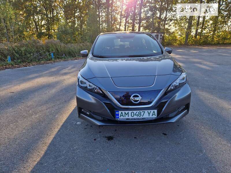 Хетчбек Nissan Leaf 2020 в Житомирі