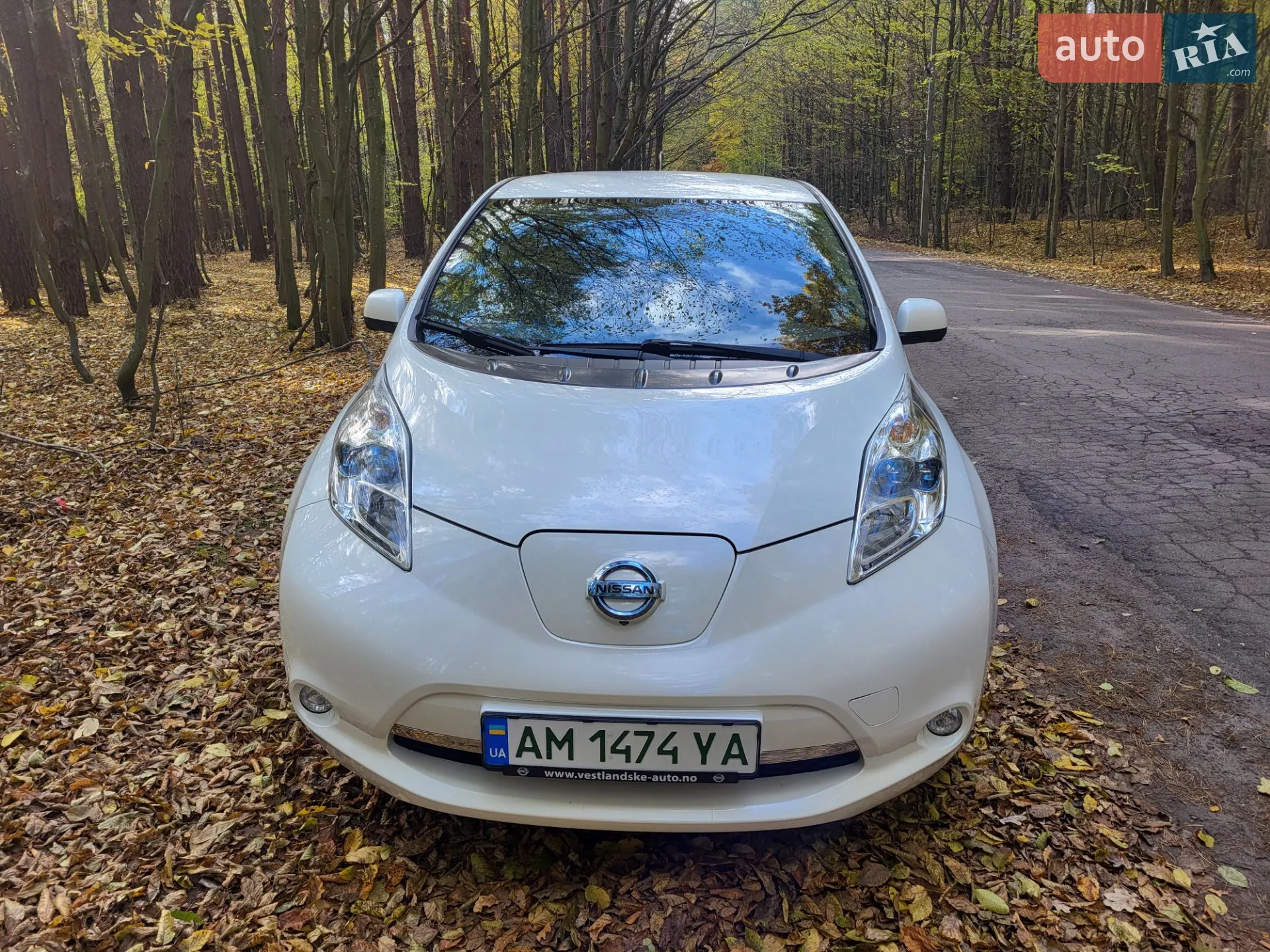 2014 Nissan Leaf - мініатюра 3
