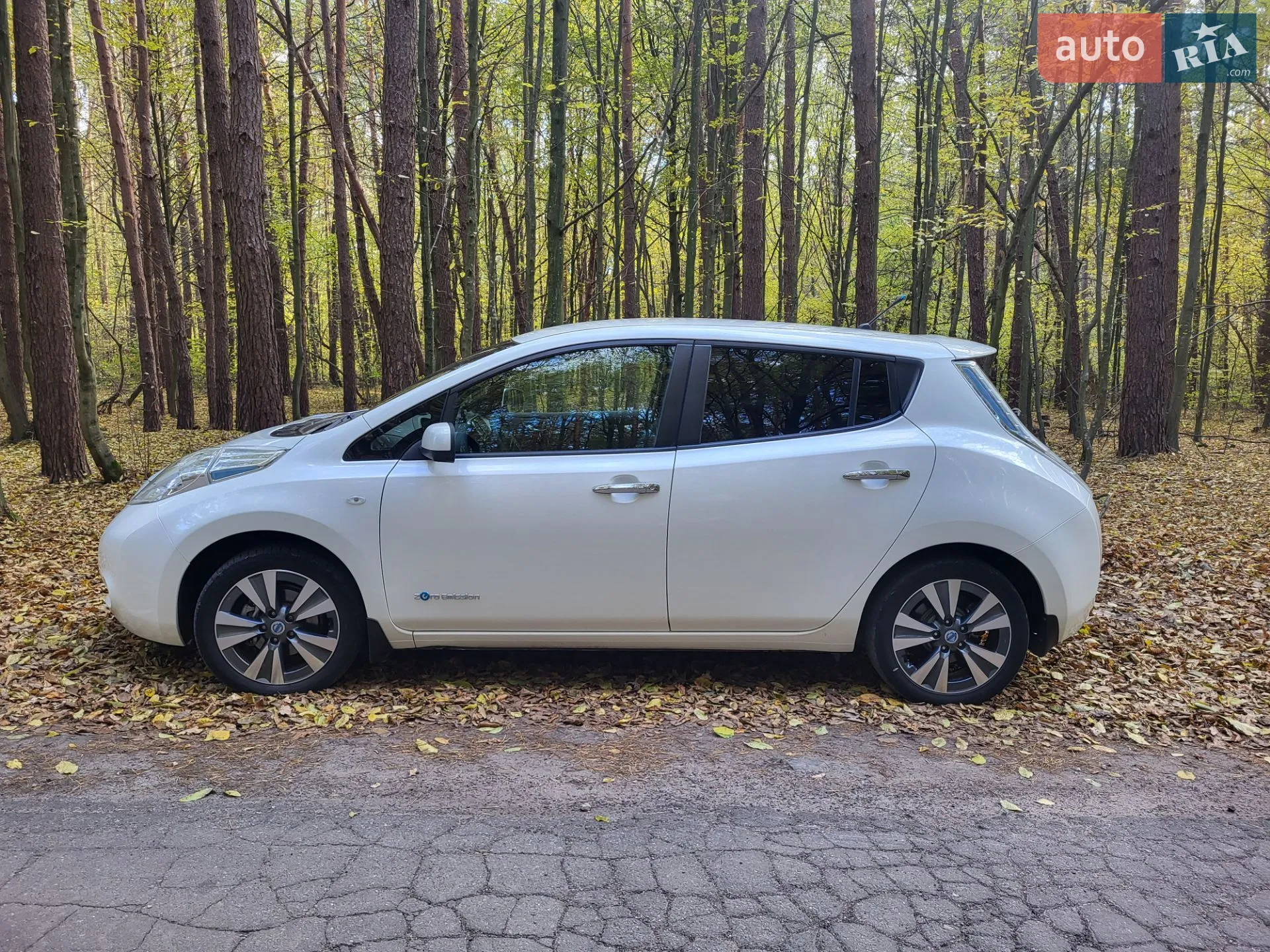 2014 Nissan Leaf - мініатюра 8