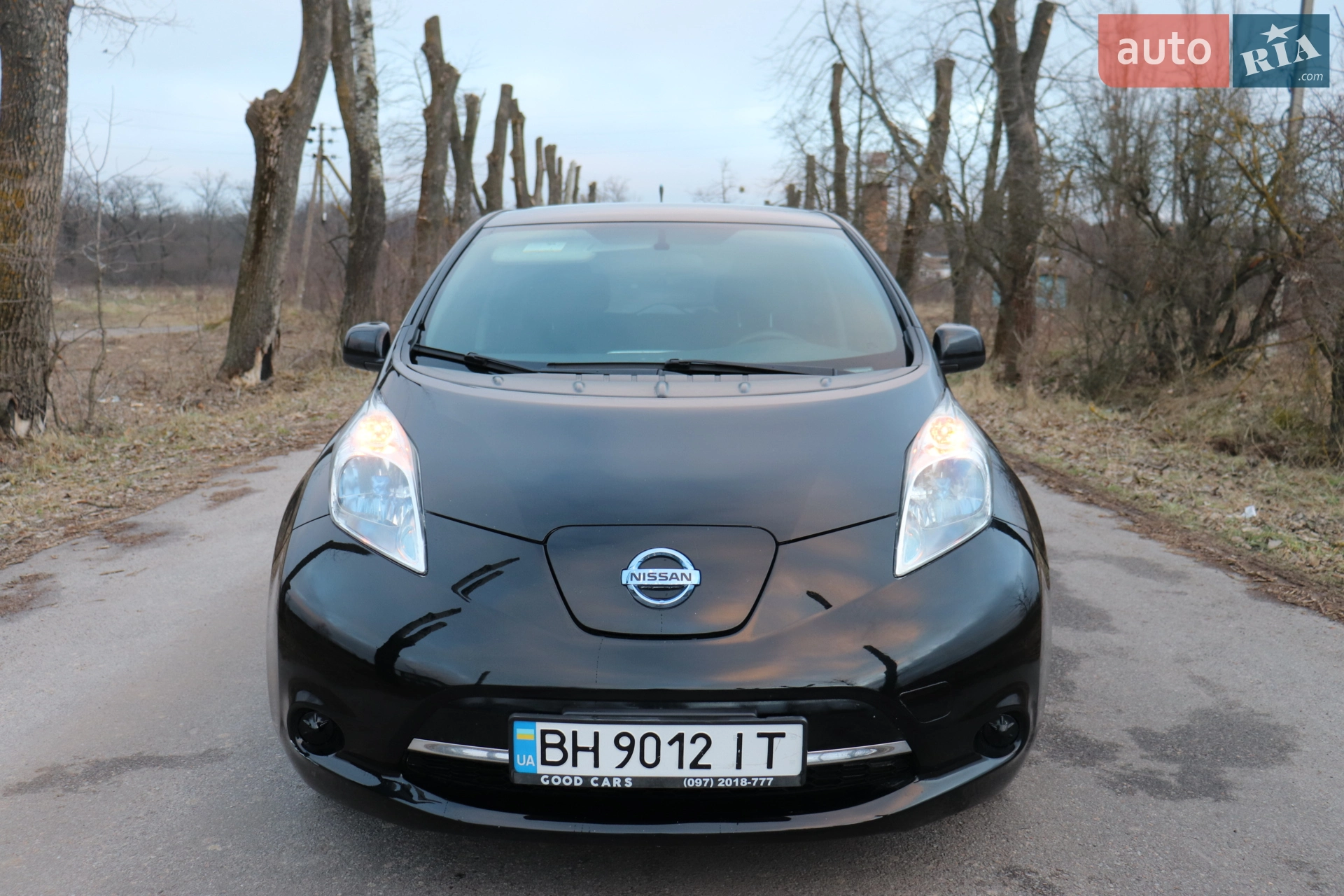 2013 Nissan Leaf - мініатюра 2