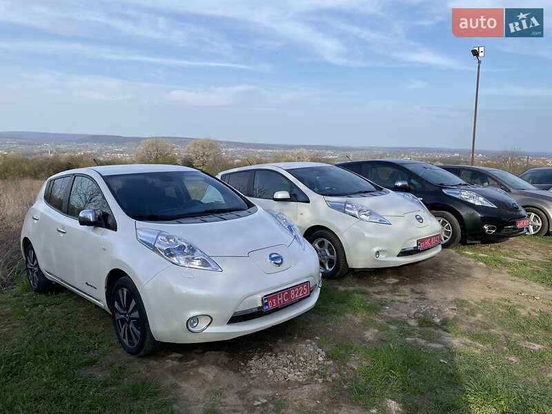 Nissan Leaf 2014