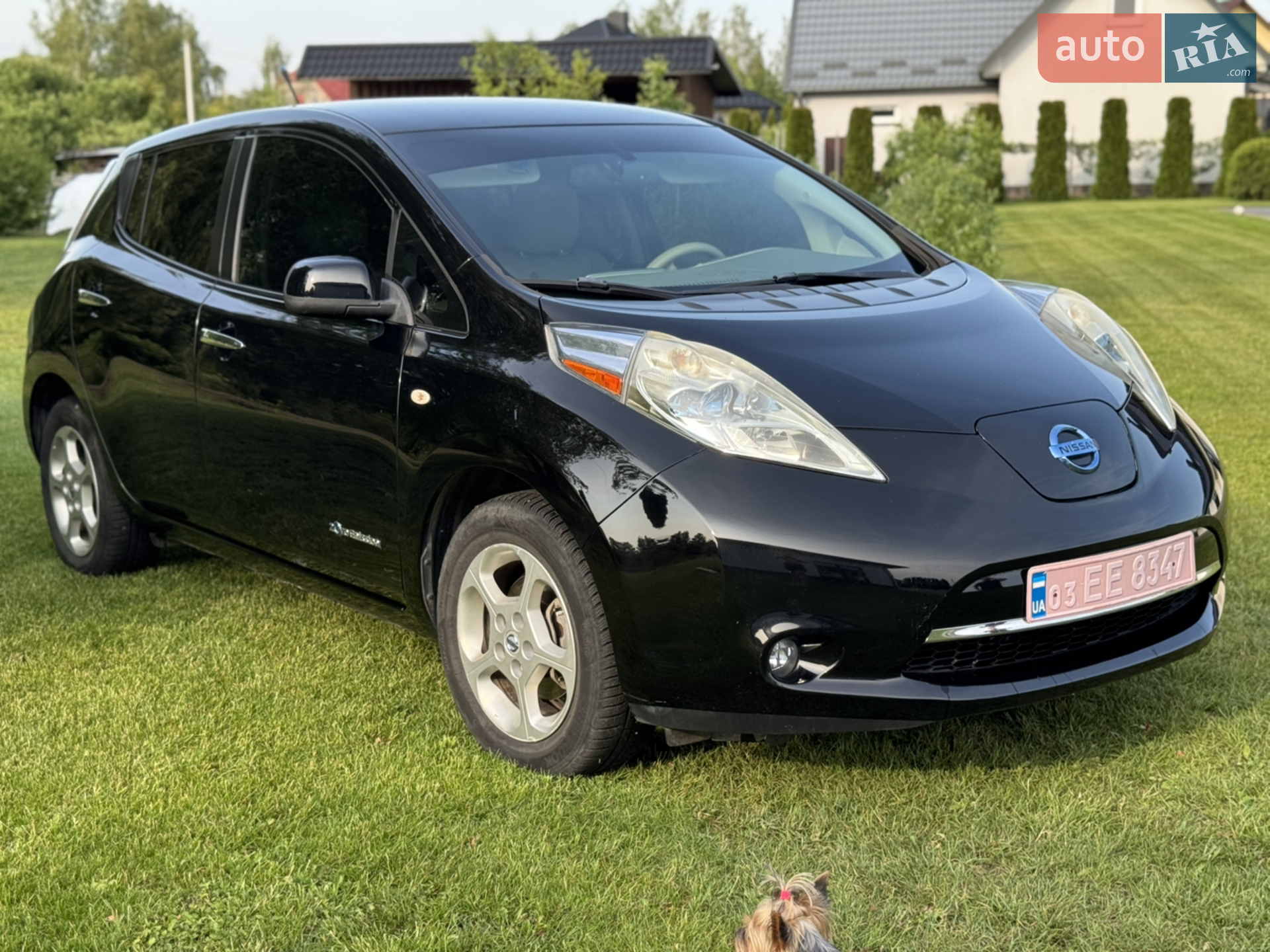 2012 Nissan Leaf - фото 1