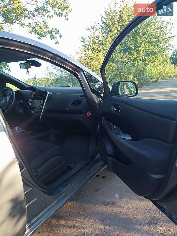 Хетчбек Nissan Leaf 2014 в Тетієві