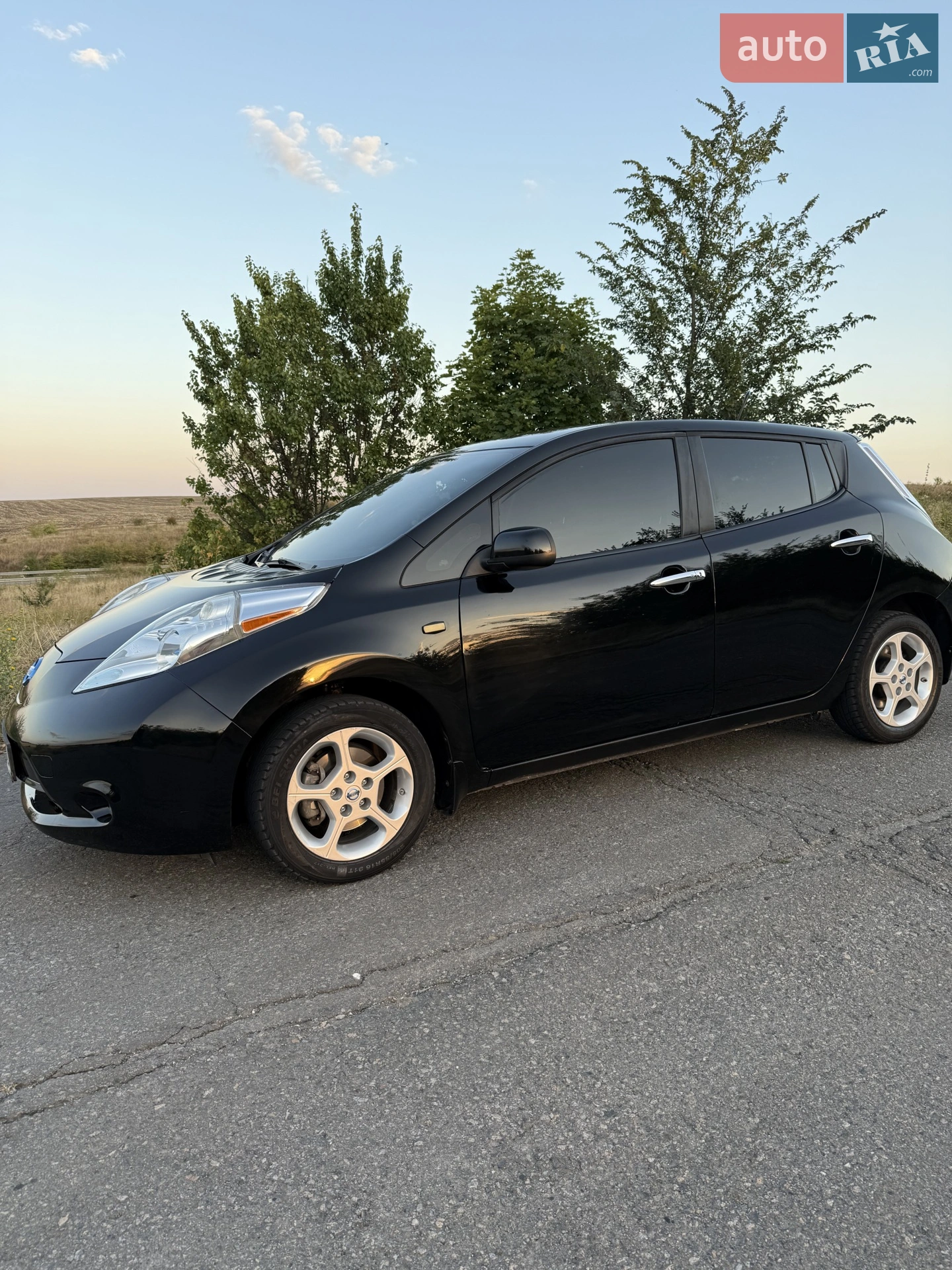2013 Nissan Leaf - мініатюра 4