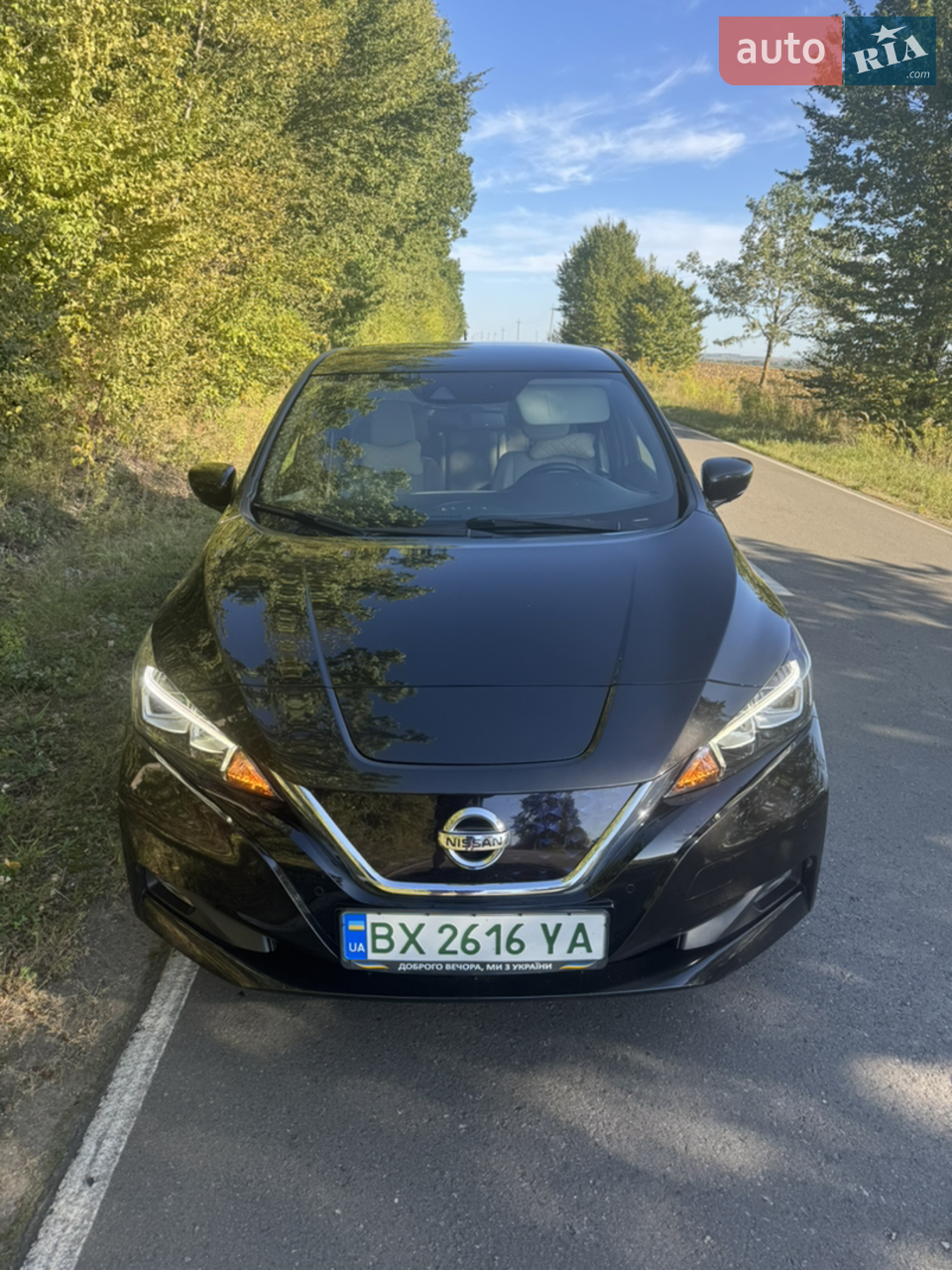 2017 Nissan Leaf - мініатюра 59