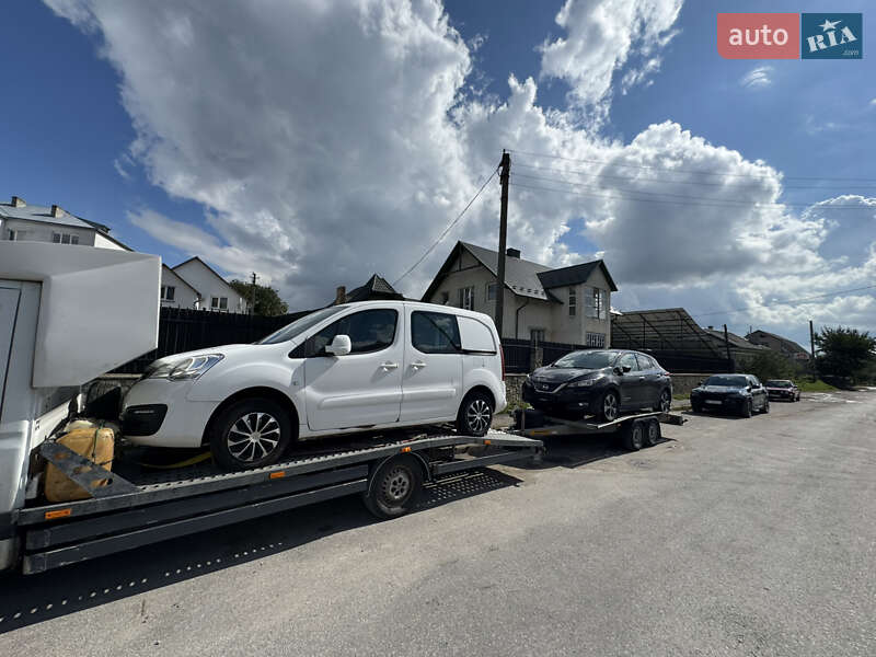 Хетчбек Nissan Leaf 2019 в Тернополі