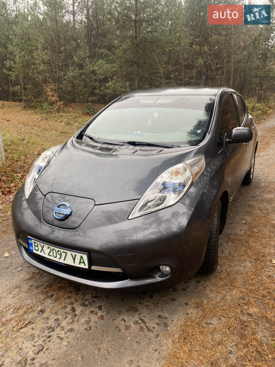 2013 Nissan Leaf - мініатюра 17