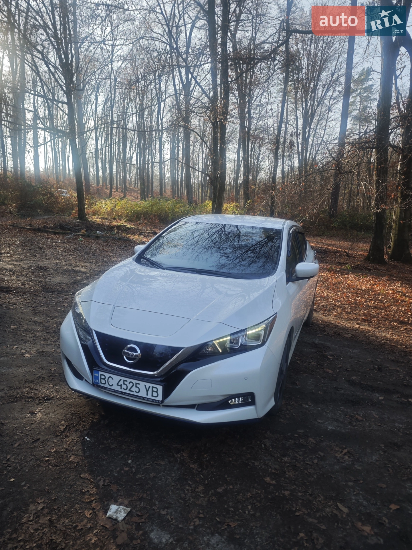 2019 Nissan Leaf - мініатюра 2