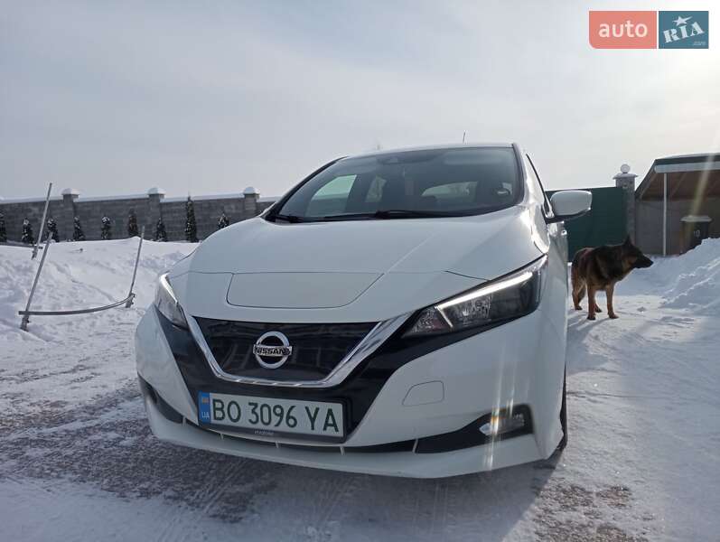 Nissan Leaf 2019