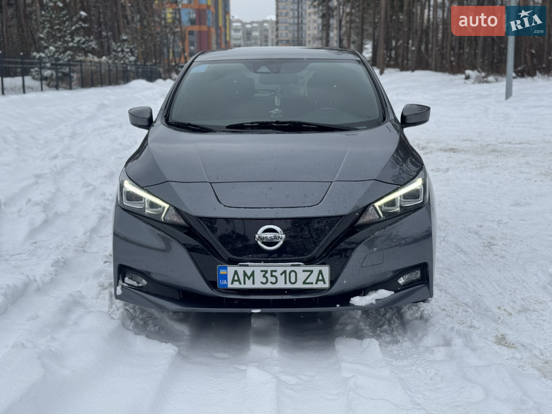 2019 Nissan Leaf - фото 1
