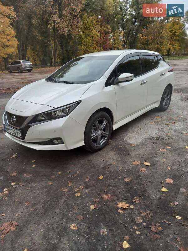 Хетчбек Nissan Leaf 2019 в Сумах фото 9 Хетчбек Nissan Leaf 2019 в Сумах