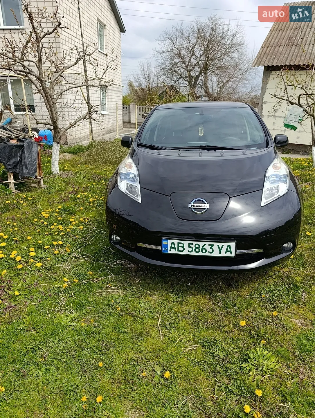 2013 Nissan Leaf - фото 1