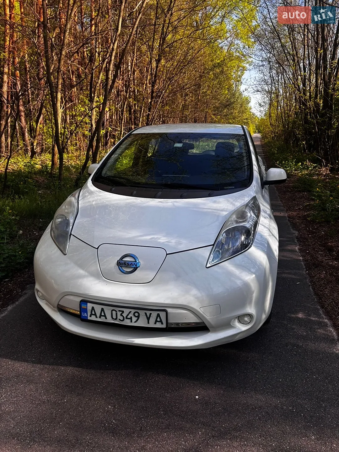 2014 Nissan Leaf - мініатюра 10