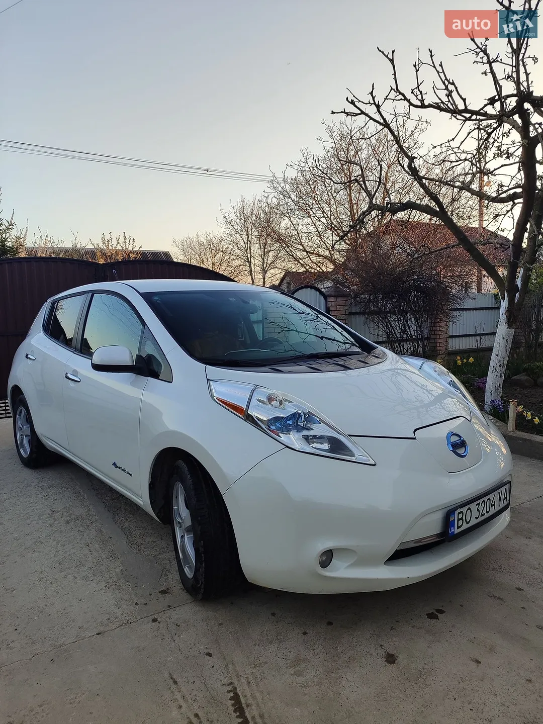 2013 Nissan Leaf - мініатюра 2
