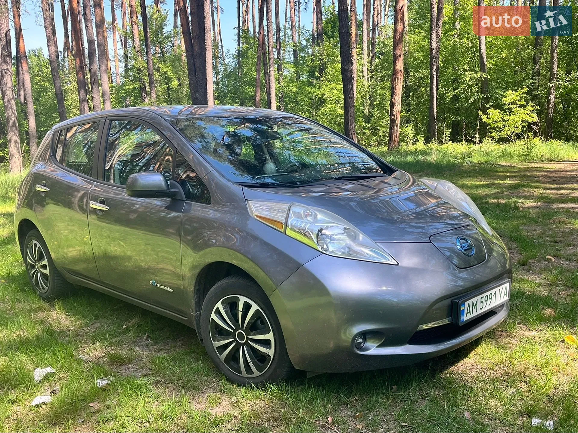 2015 Nissan Leaf - фото 1