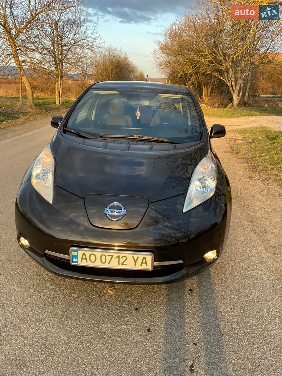 2013 Nissan Leaf - мініатюра 4