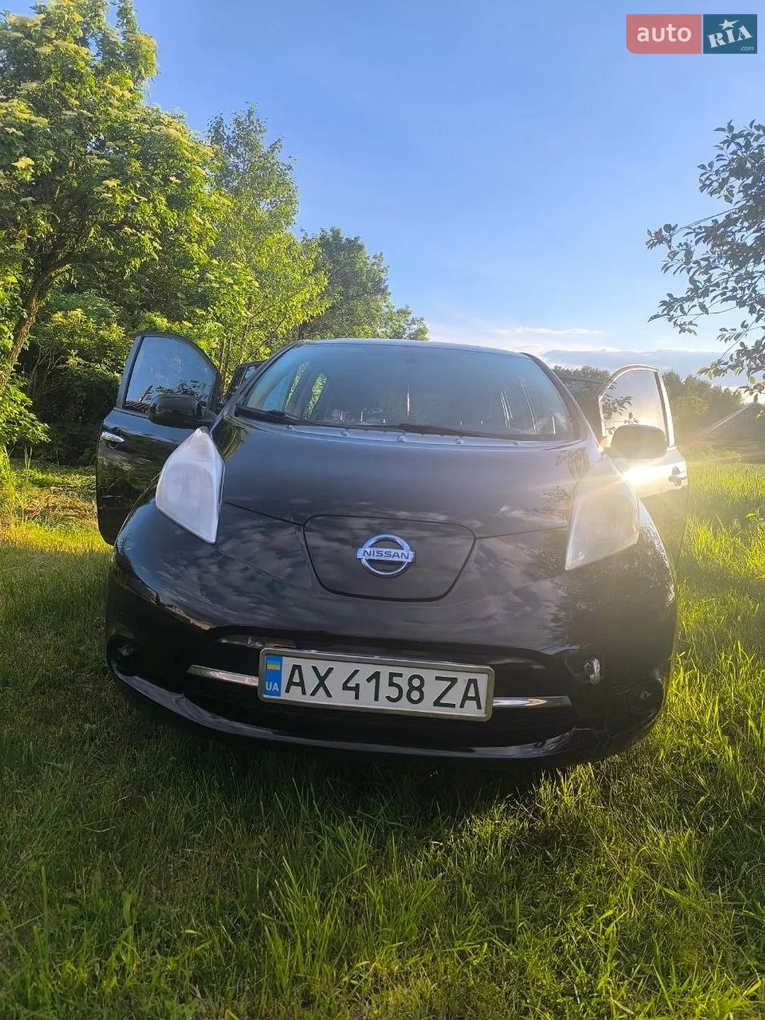 2014 Nissan Leaf - мініатюра 2