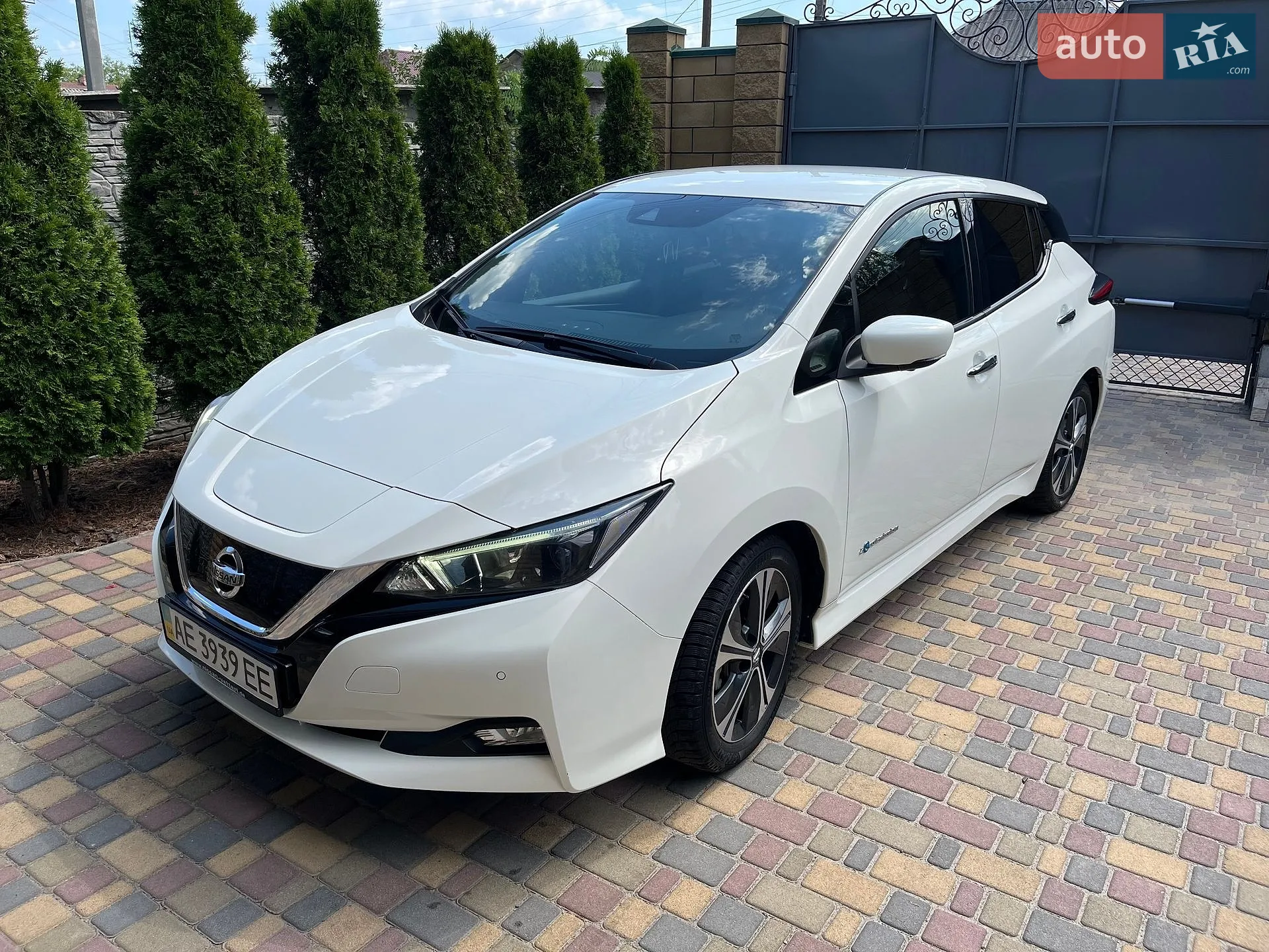 2019 Nissan Leaf - фото 1